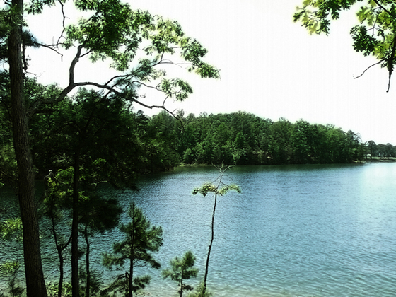locationpic3